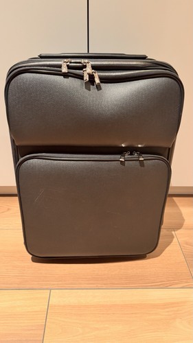 Louis vuitton pegase - louis,